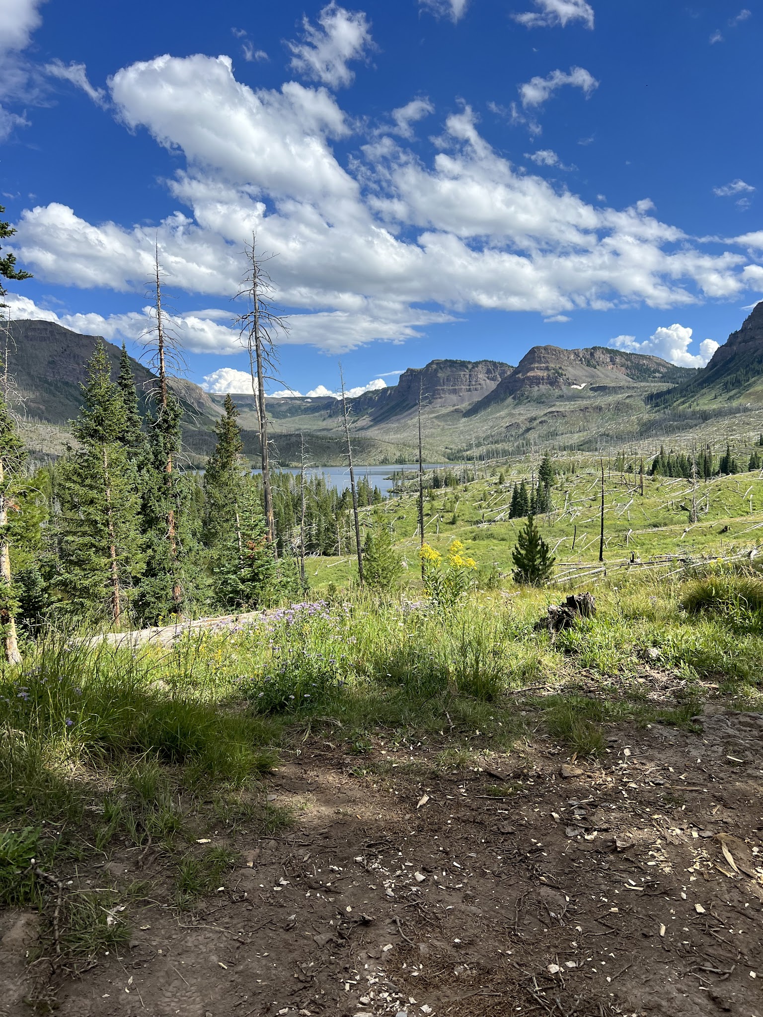 Trappers Lake / Bucks Campground