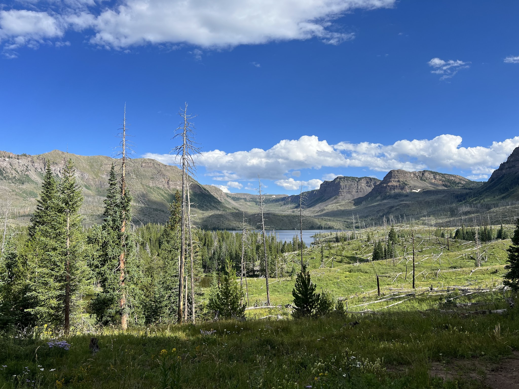 Trappers Lake / Bucks Campground