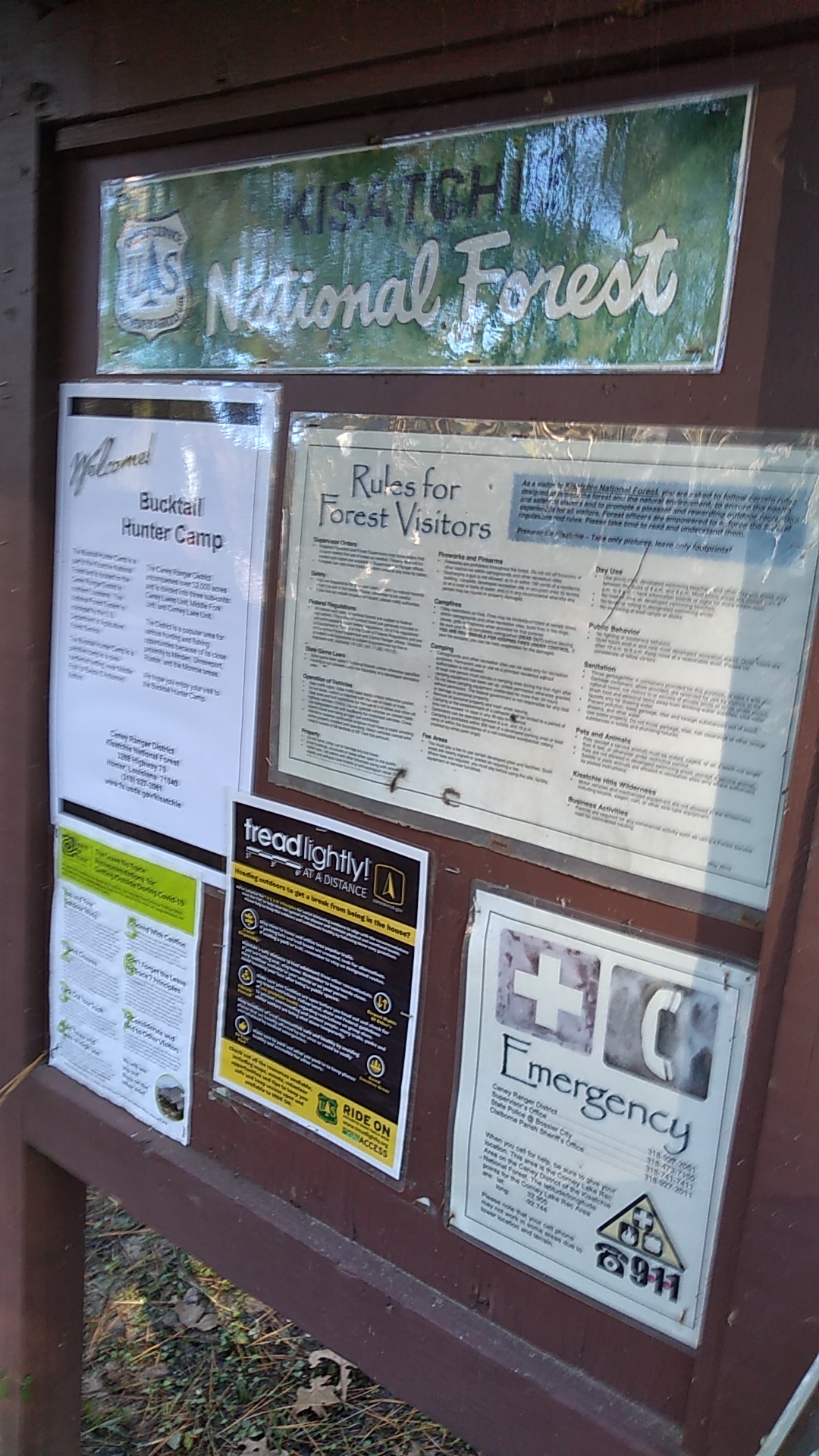 Bucktail Hunter Camp