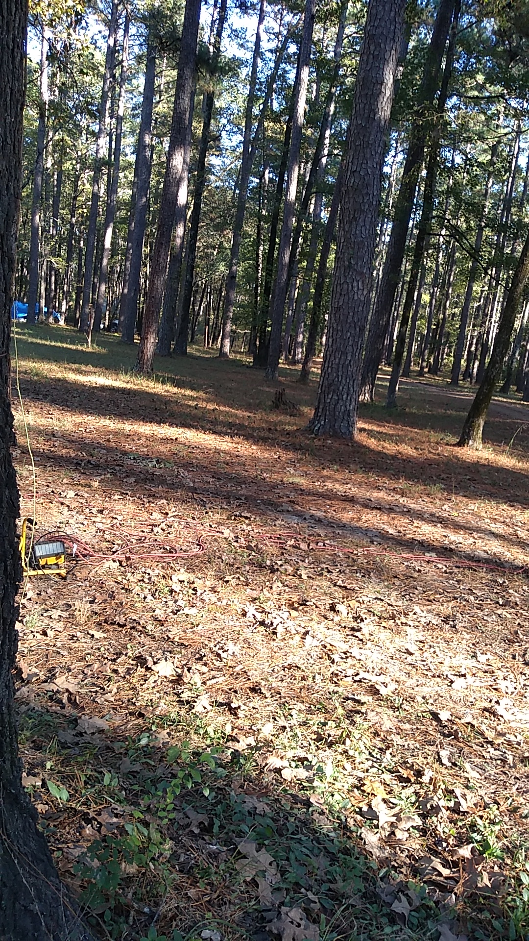 Bucktail Hunter Camp