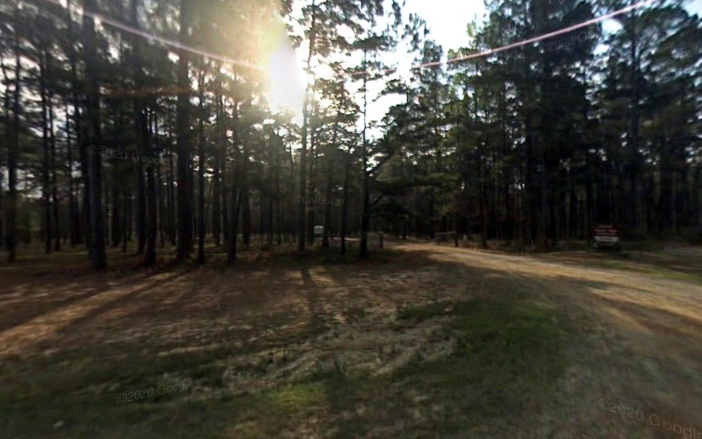 Bucktail Hunter Camp