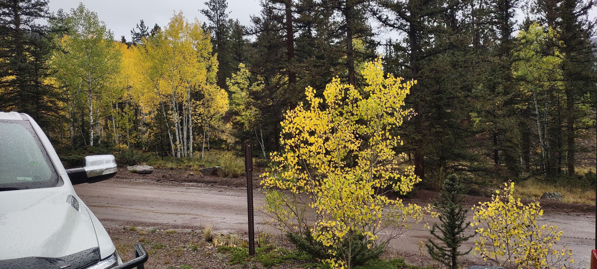 Buffalo Pass Campground