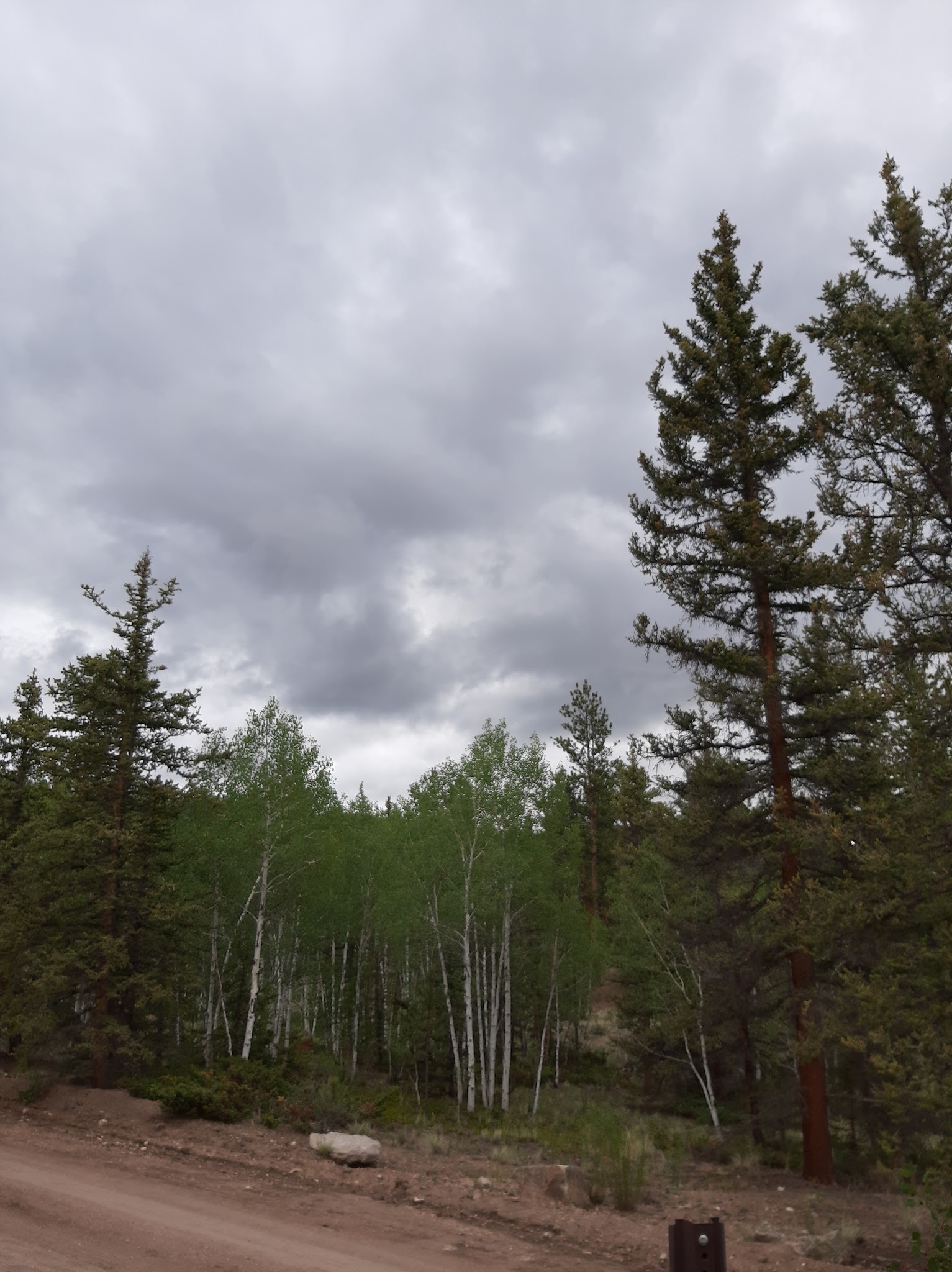Buffalo Pass Campground