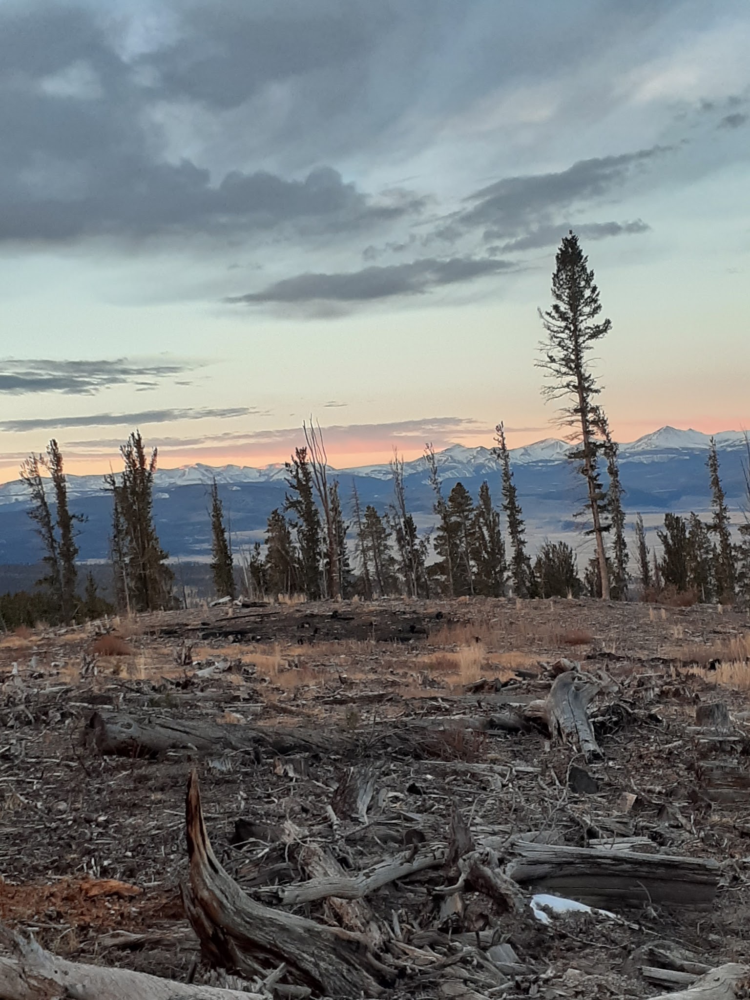 Buffalo Pass Campground