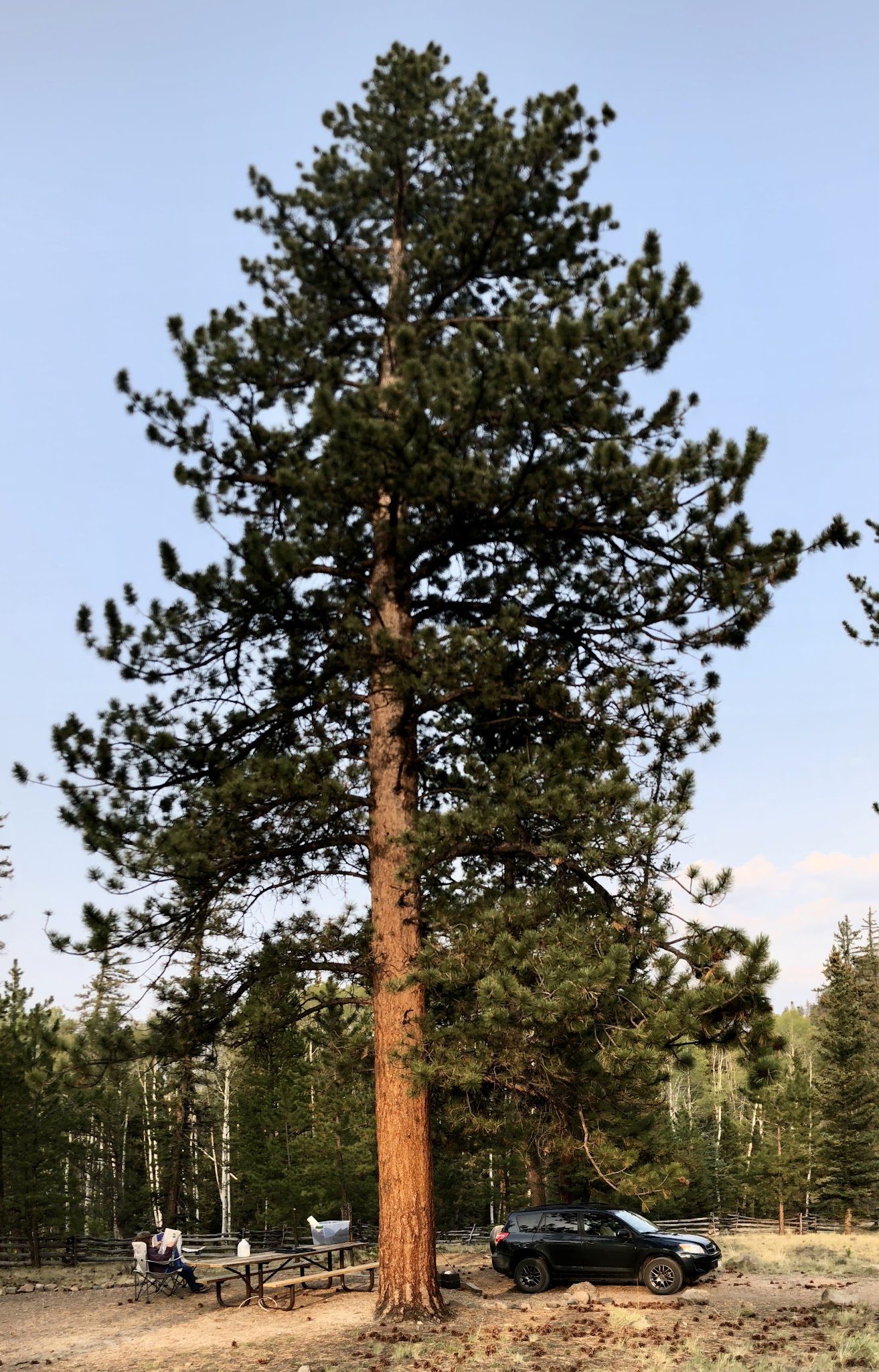 Buffalo Pass Campground