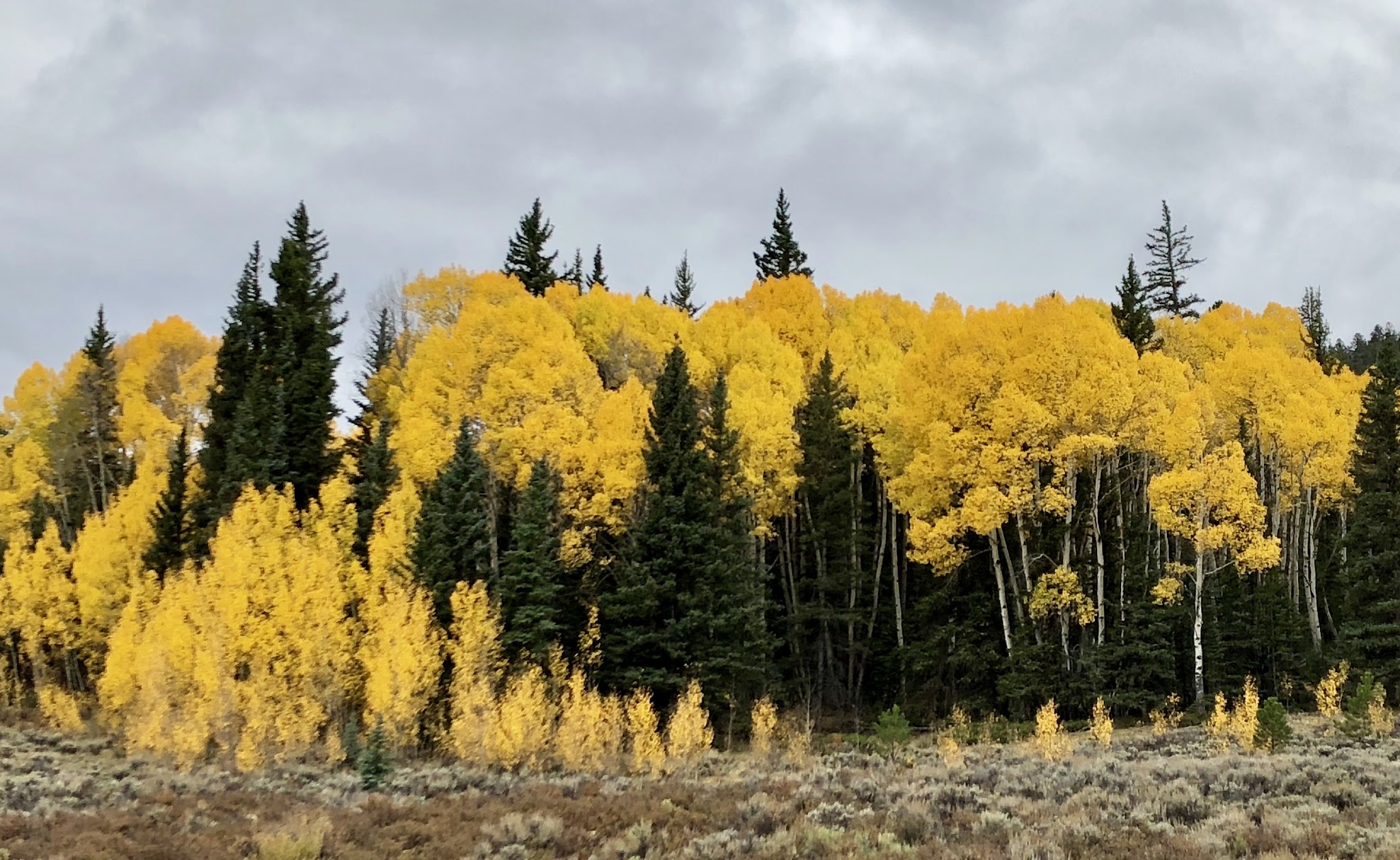 Buffalo Pass Campground