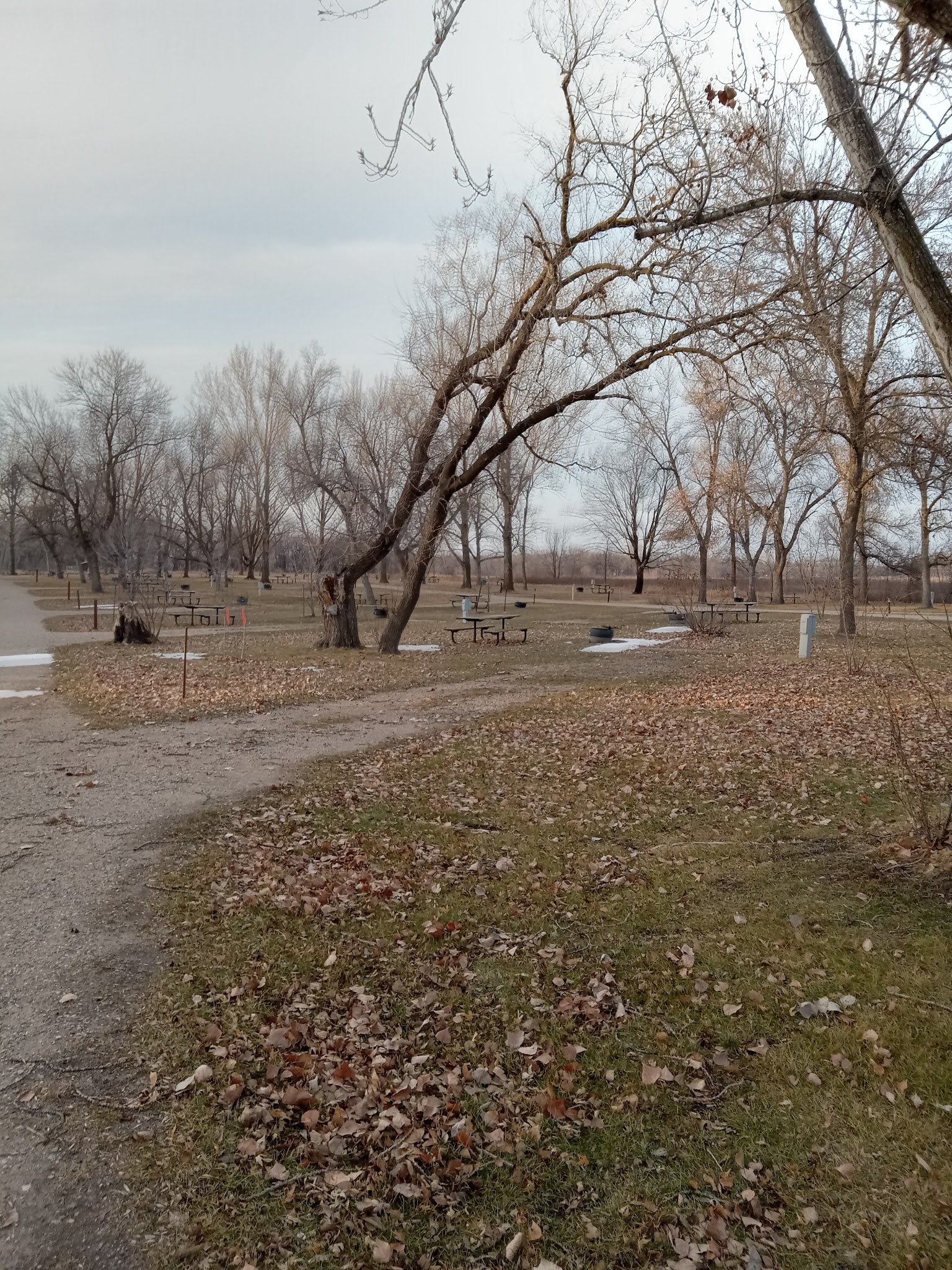 Buffalo River Campground