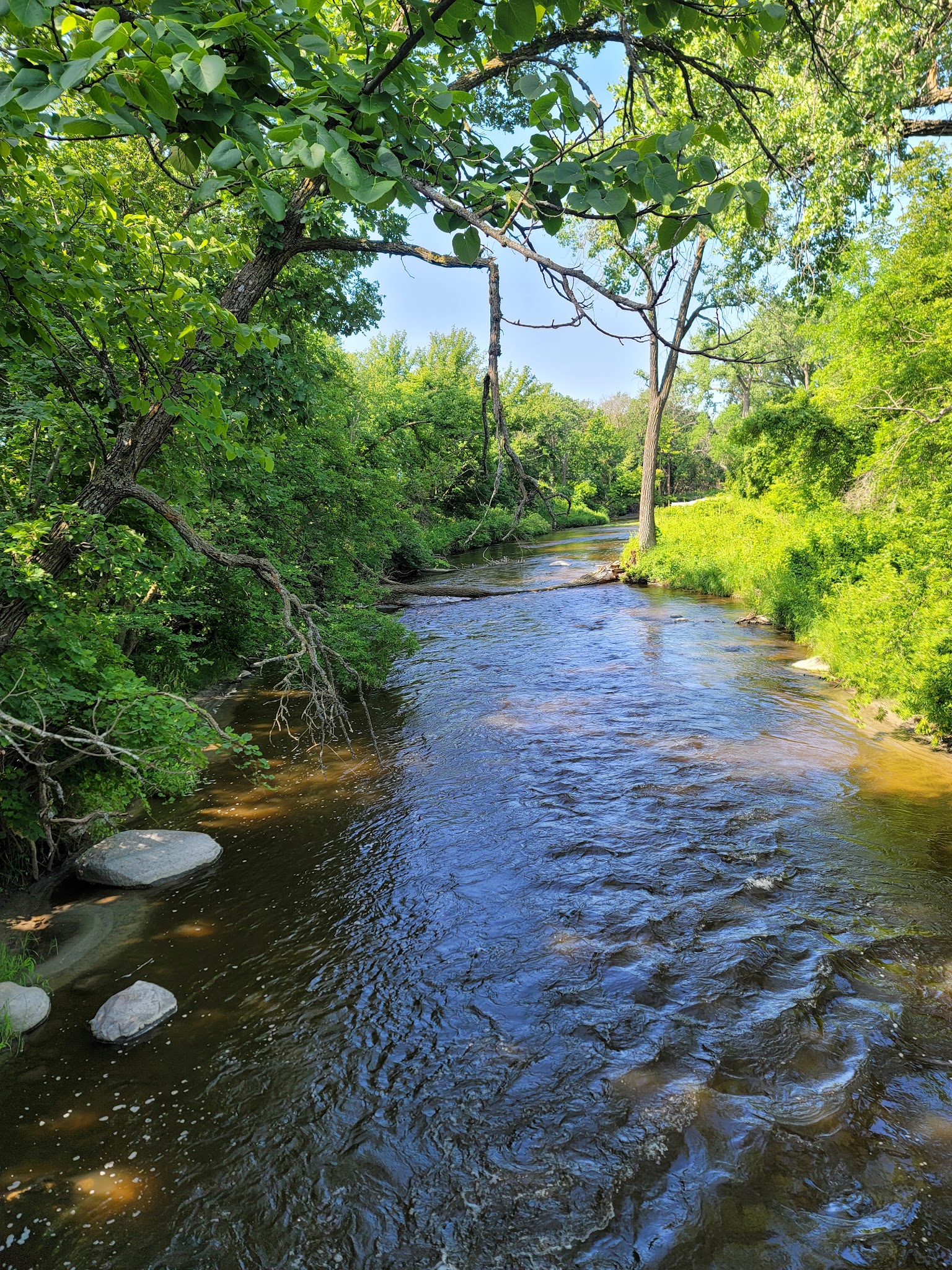 Buffalo River Campground