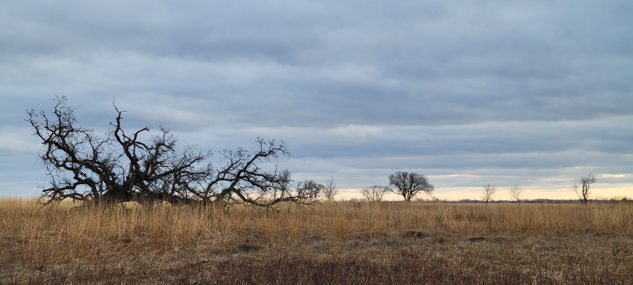 Buffalo River Campground