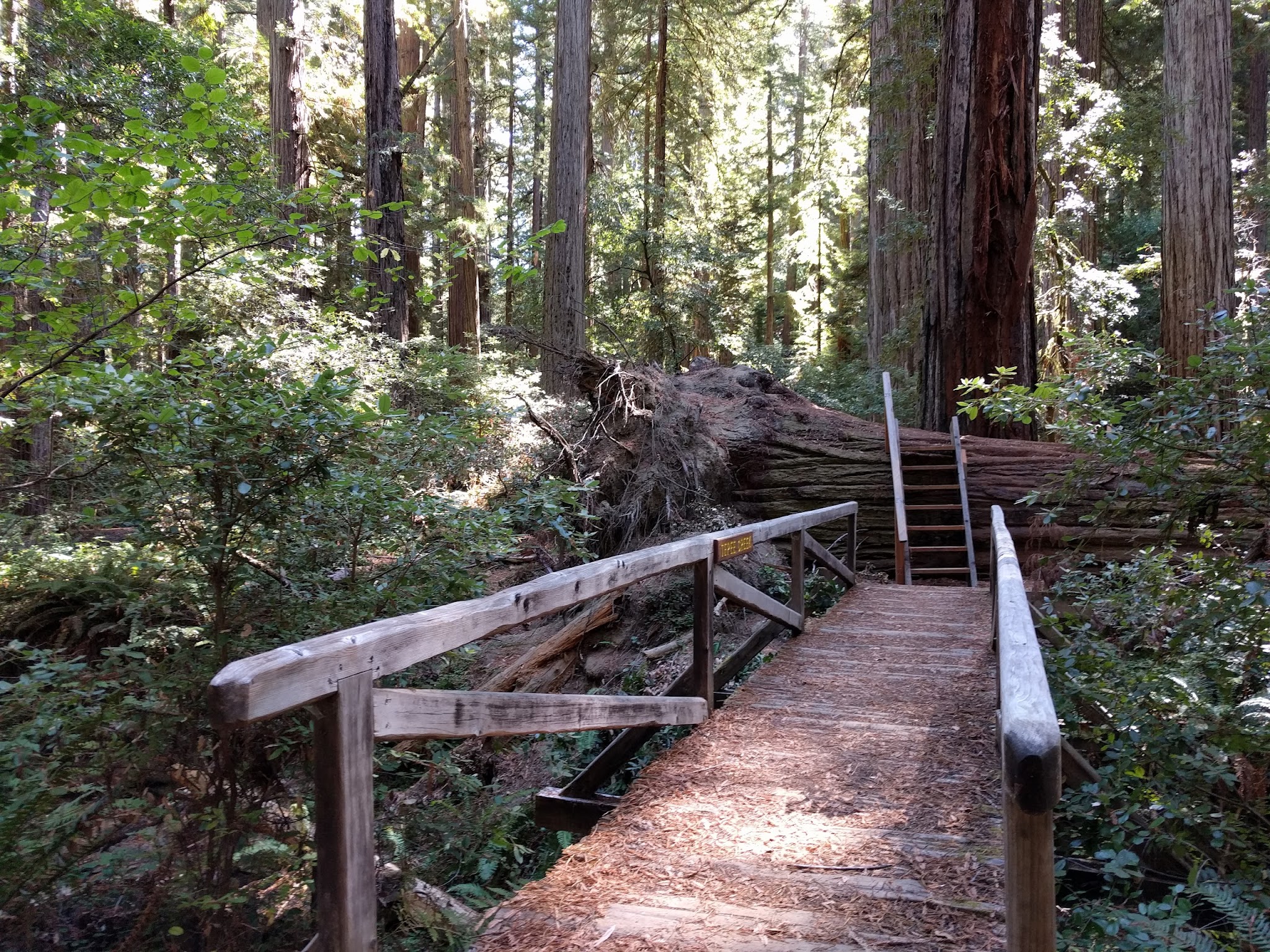 Trail Bull Creek Campground