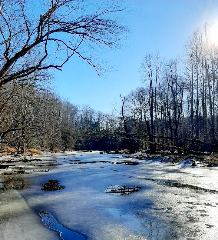 Bull Run Regional Park - Centreville