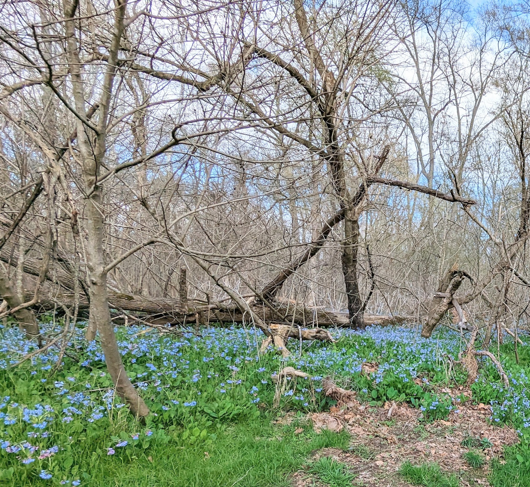 Bull Run Regional Park - Centreville