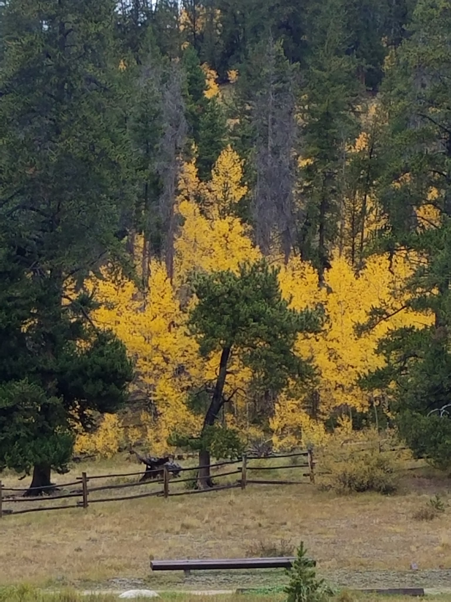 Burning Bear Campground