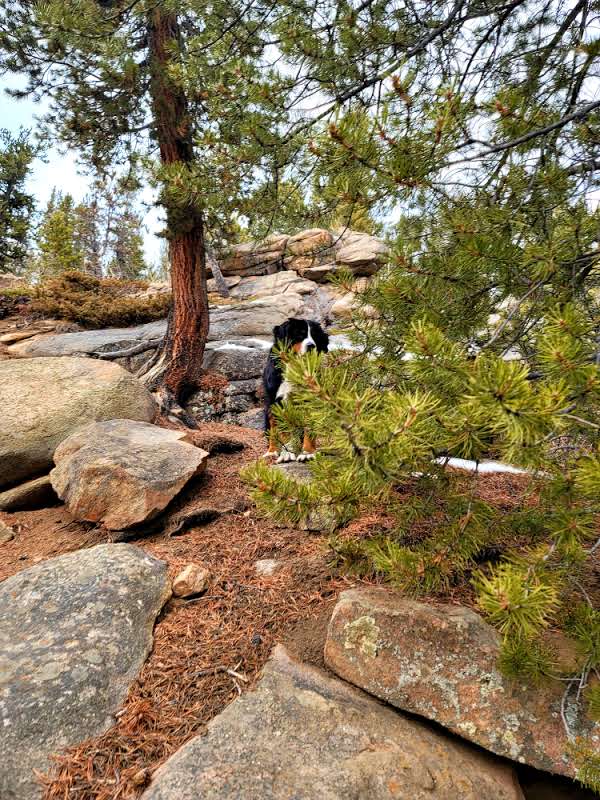 Burning Bear Campground