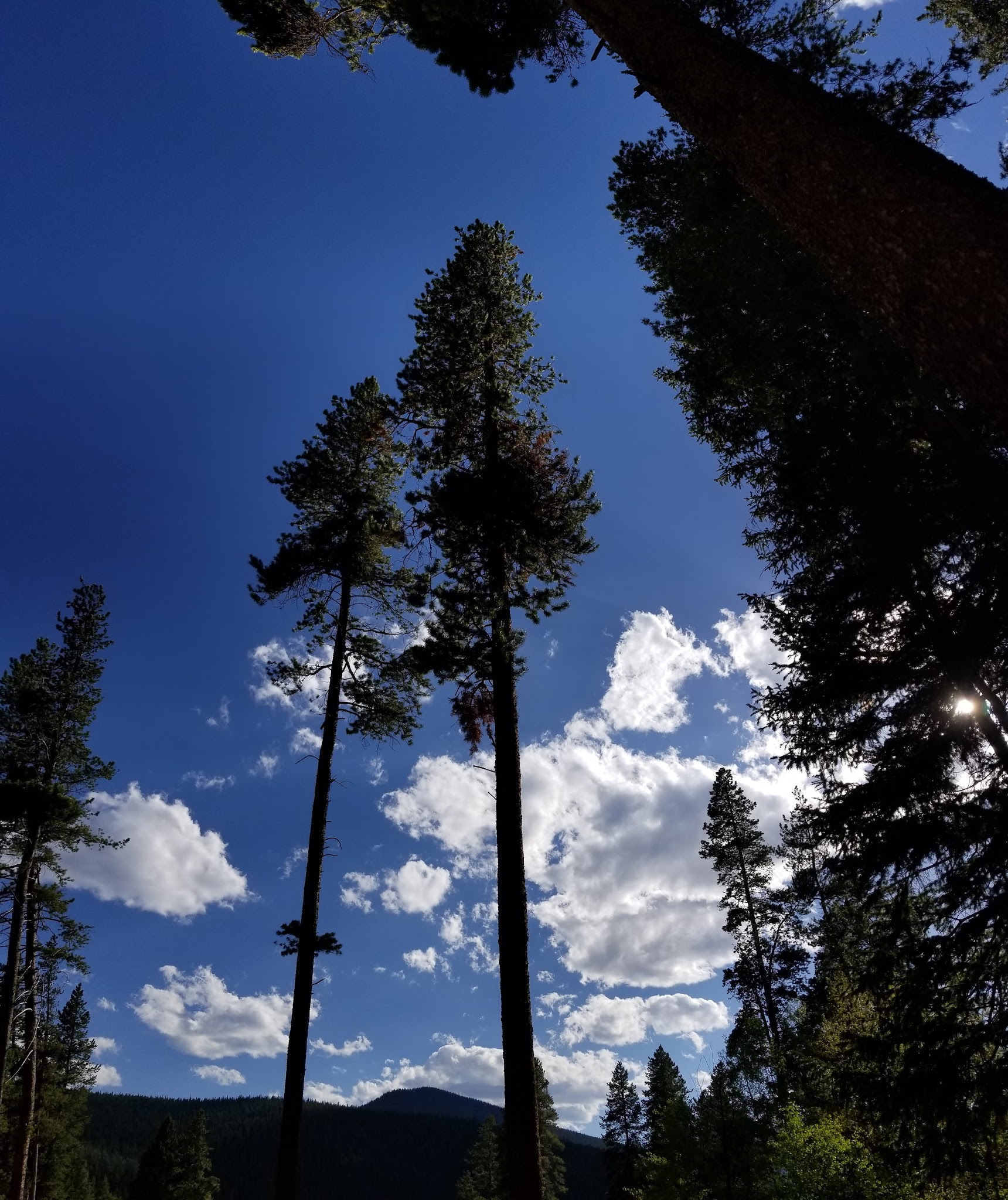 Burning Bear Campground