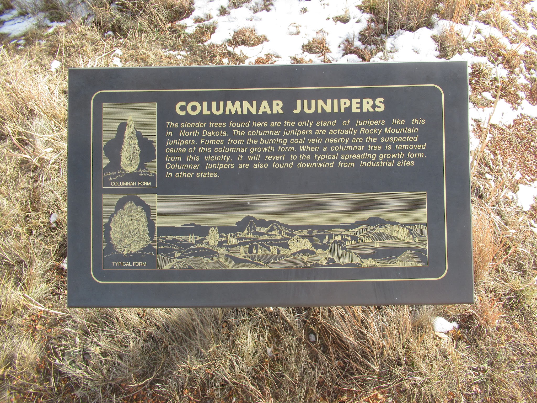 Burning Coal Vein Campground