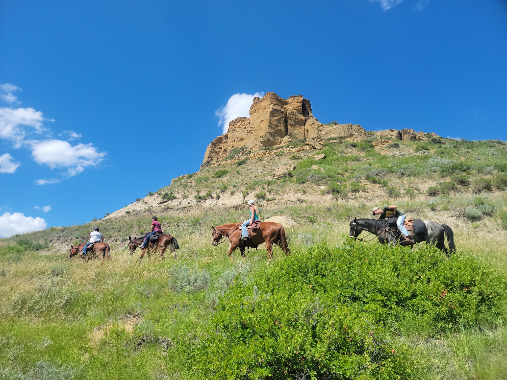 Burning Coal Vein Campground