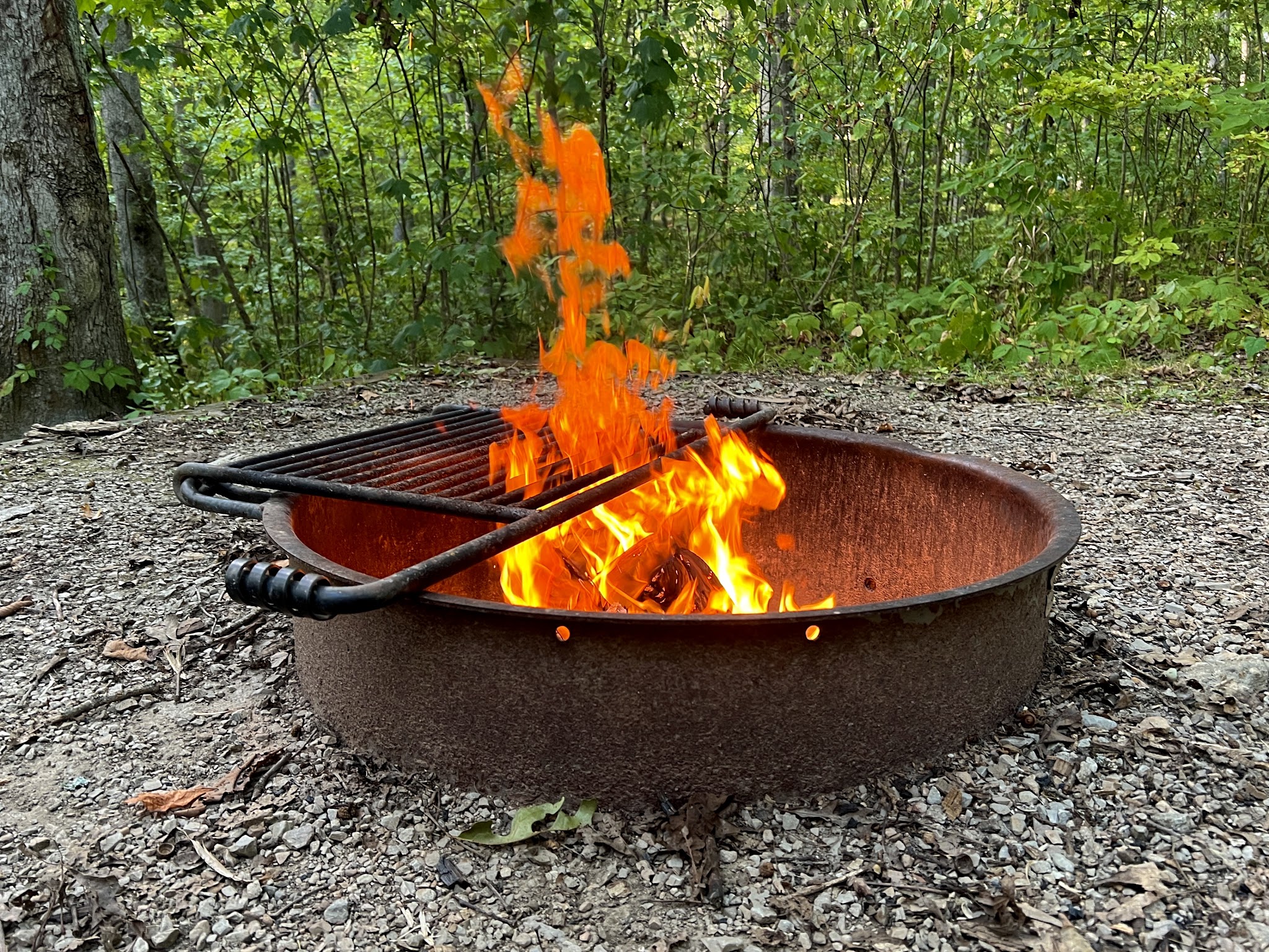 Burr Oak Cove Campground