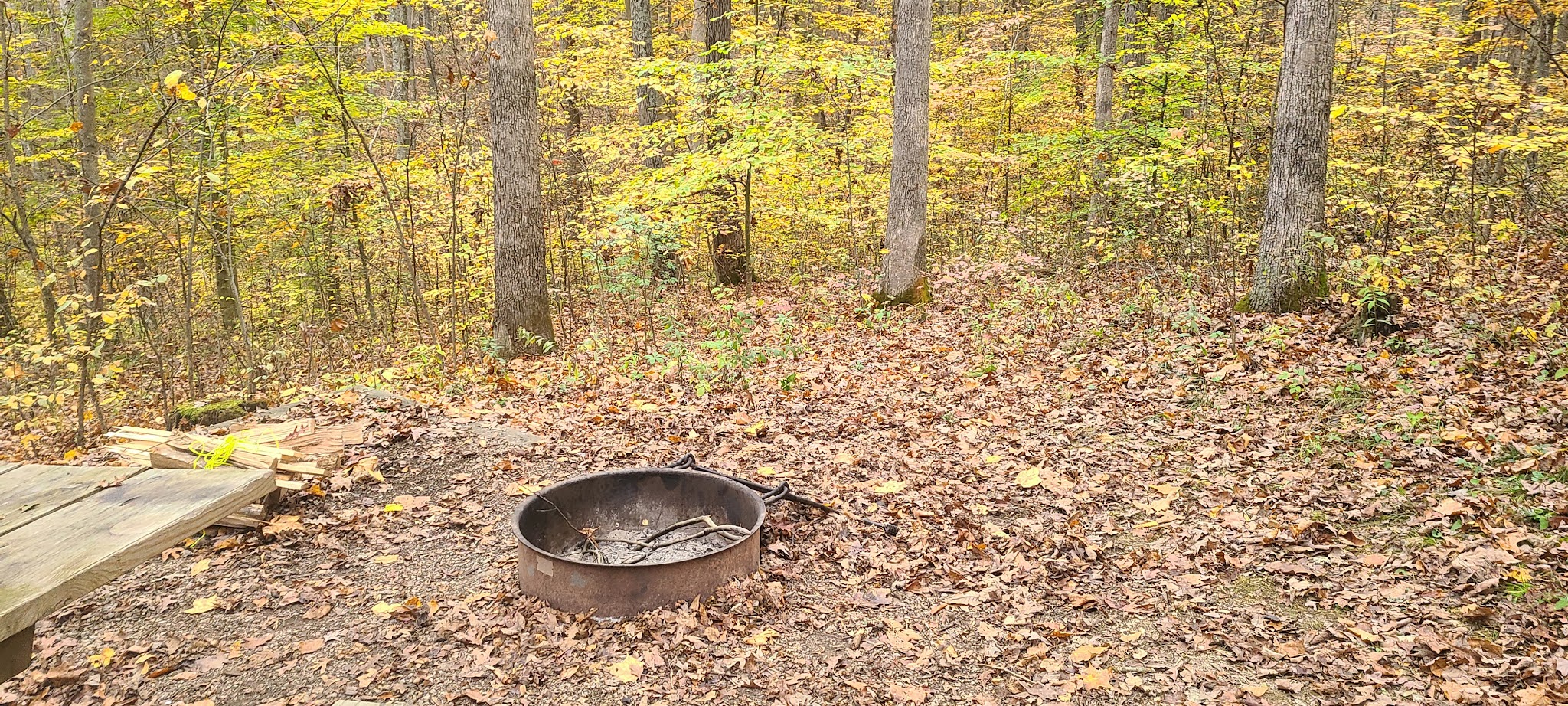 Burr Oak Cove Campground