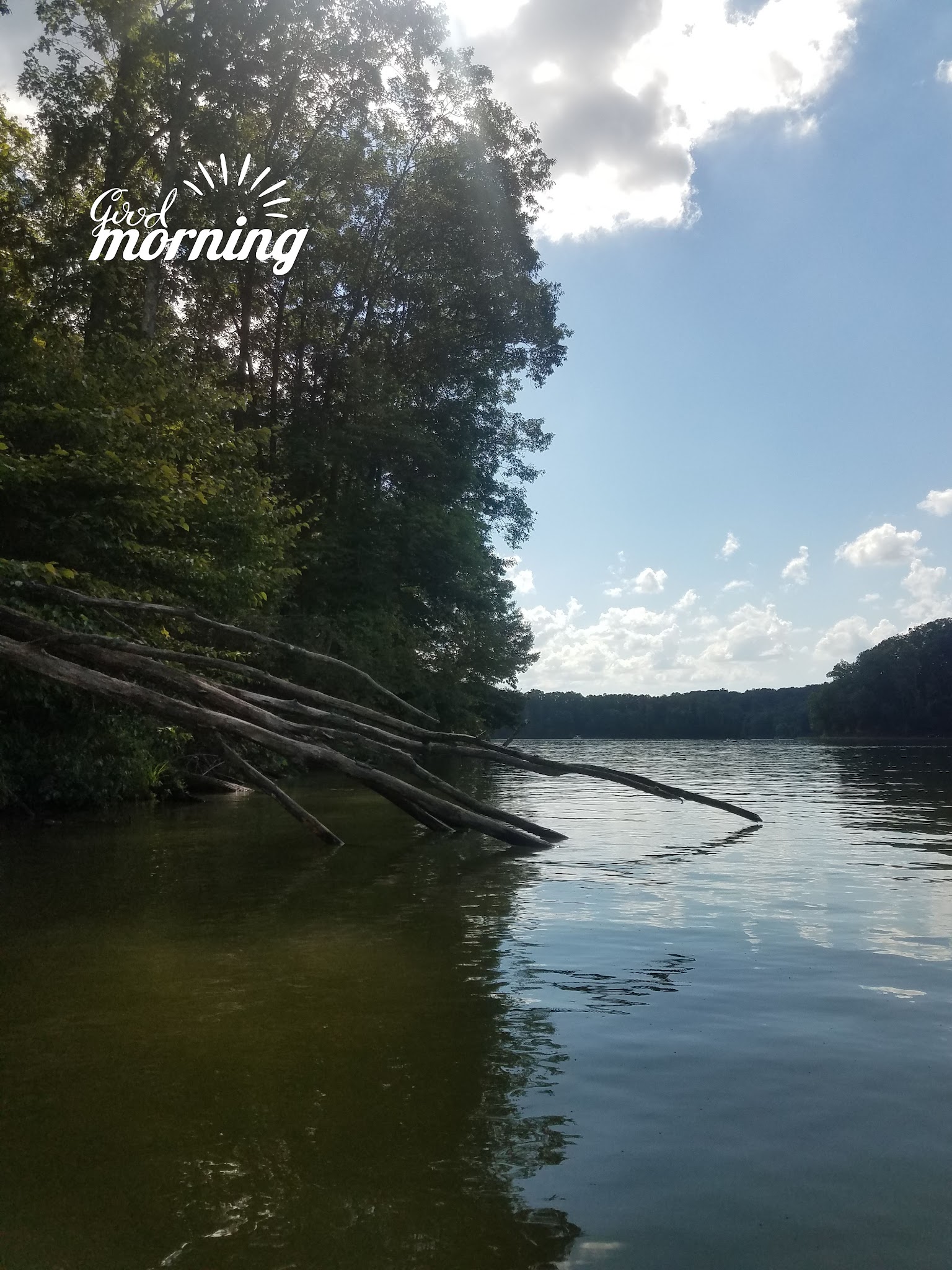 Burr Oak Cove Campground