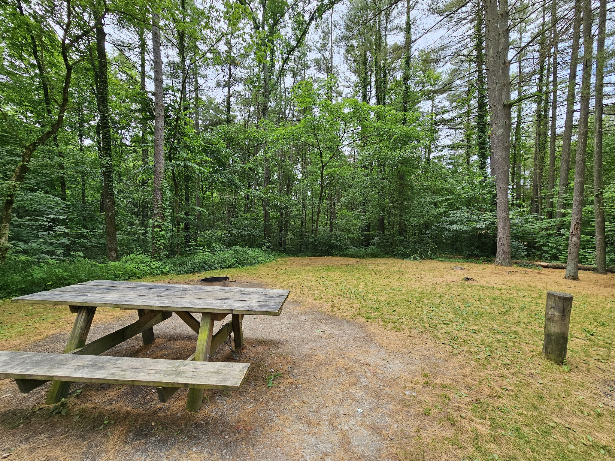 Burr Oak Cove Campground