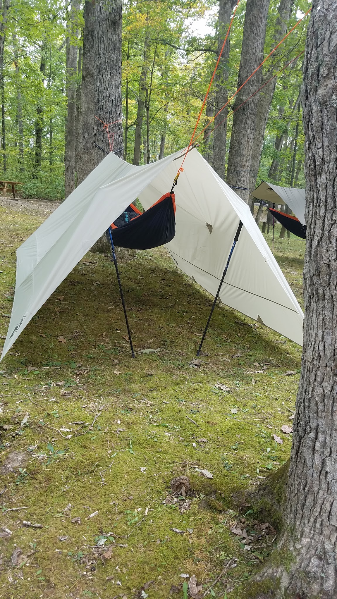 Burr Oak Cove Campground