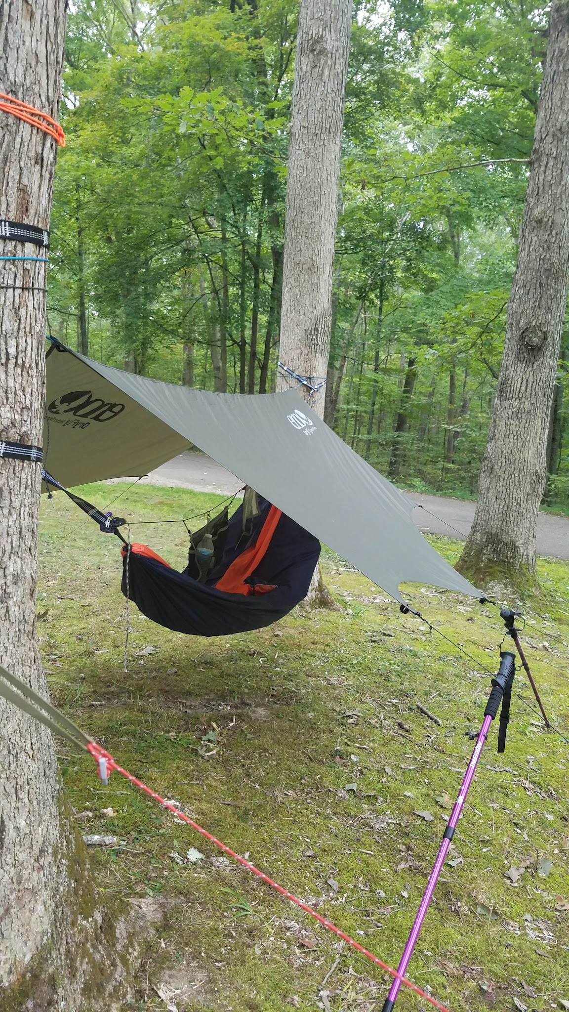 Burr Oak Cove Campground