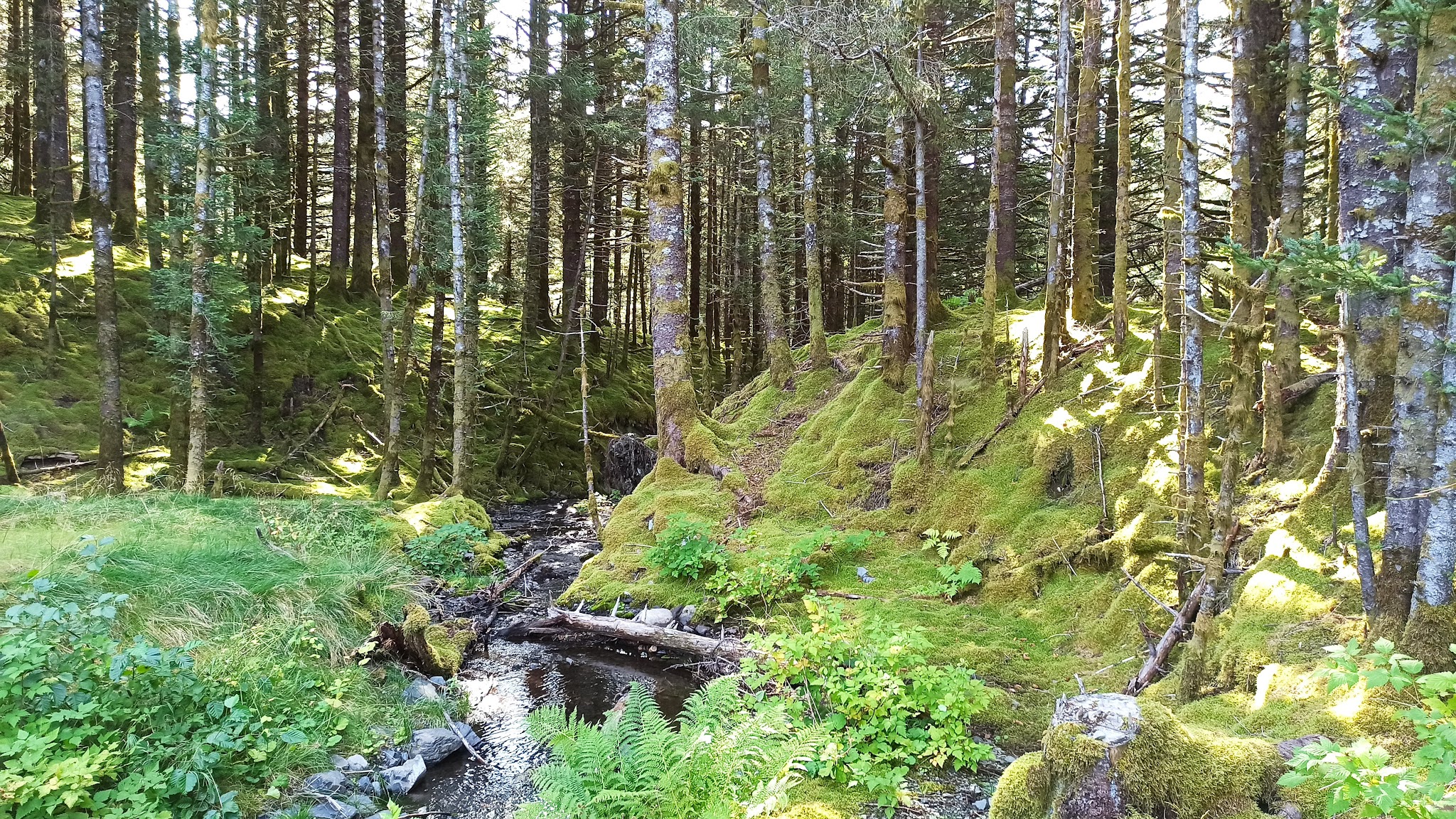 Buskin River State Recreation Site