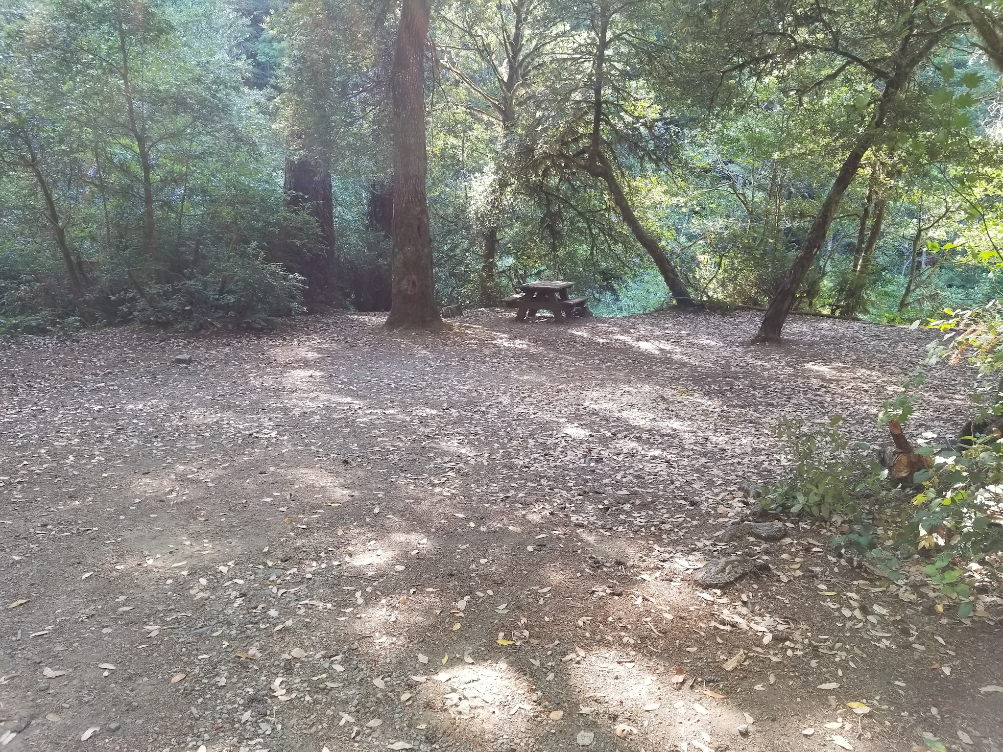 Butler Bar Campground