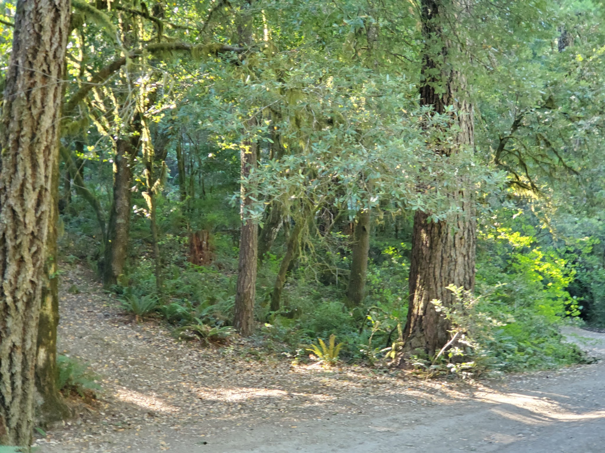 Butler Bar Campground