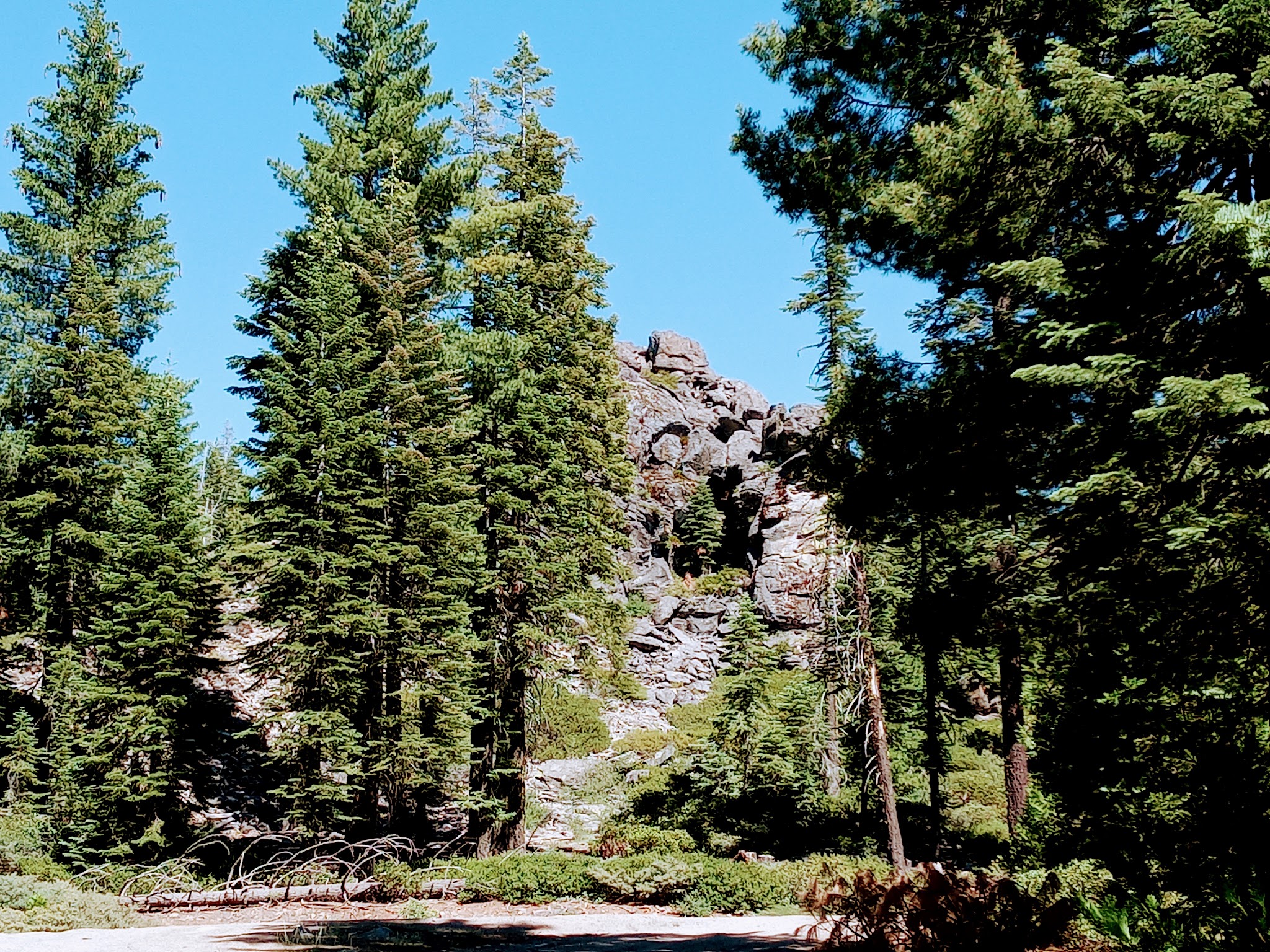 Butte Meadows Campground