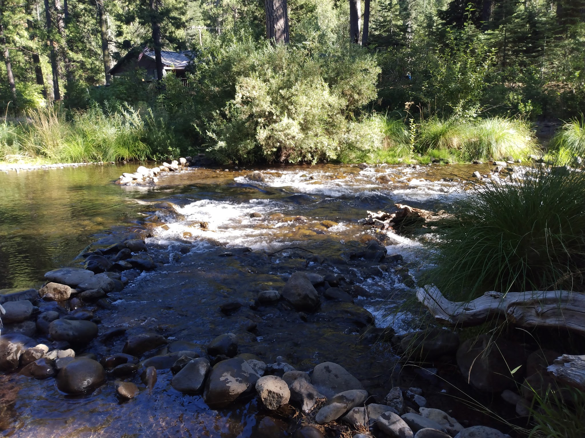 Butte Meadows Campground