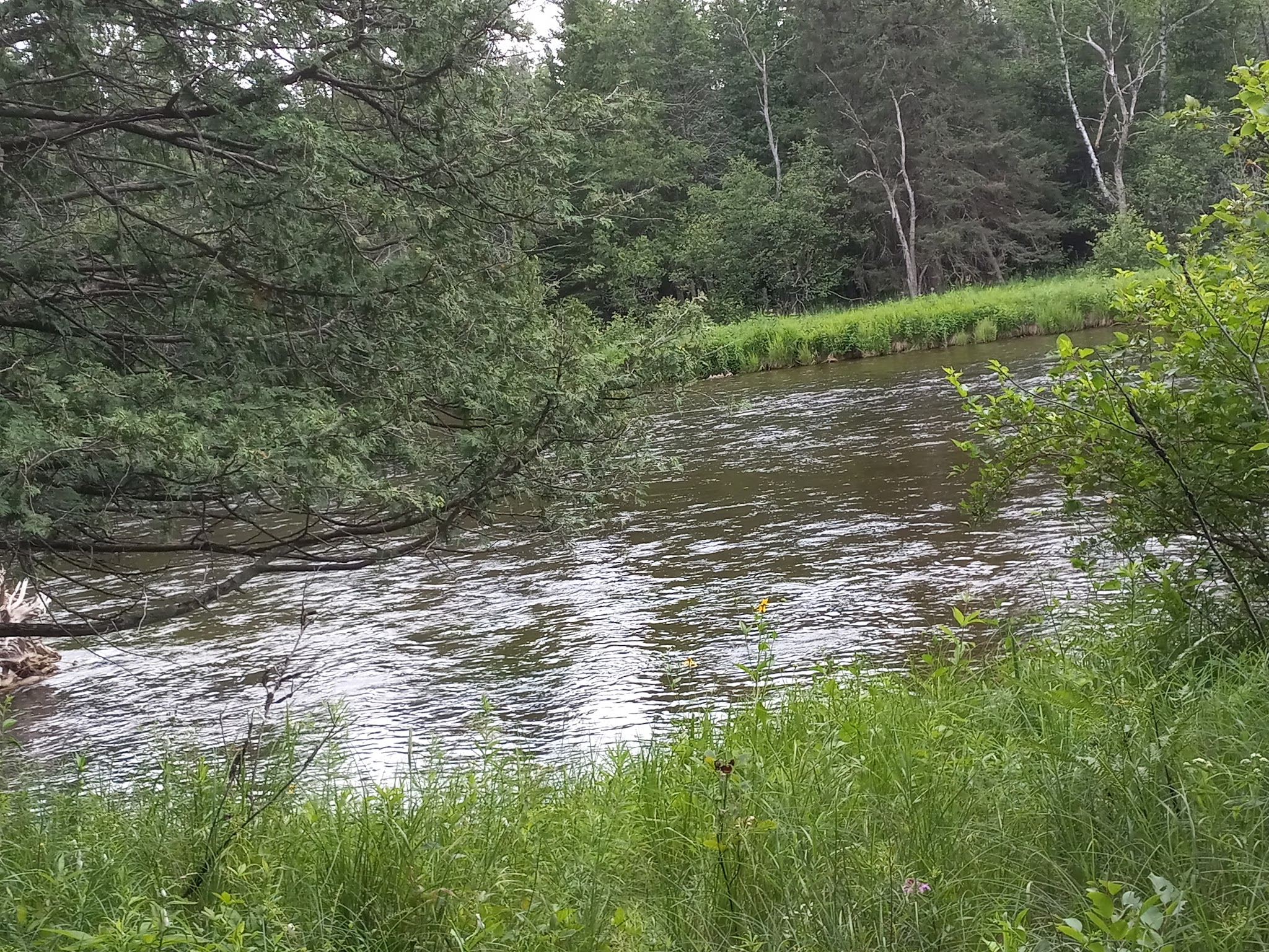 Buttercup Campground