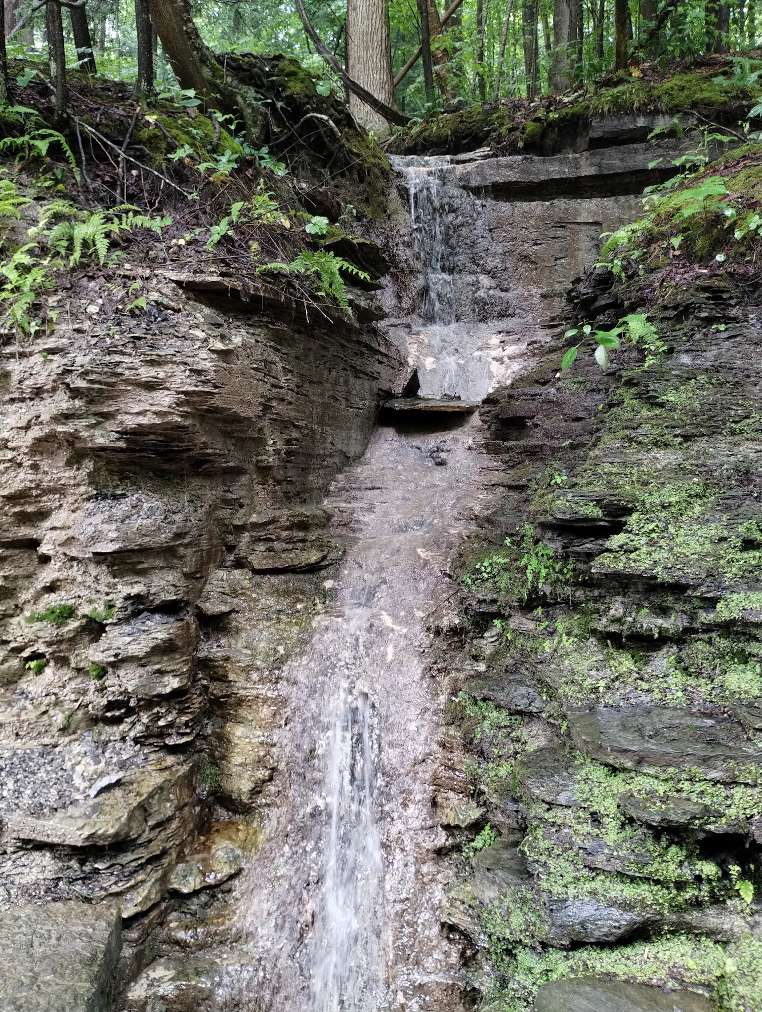 Buttermilk Falls State Park