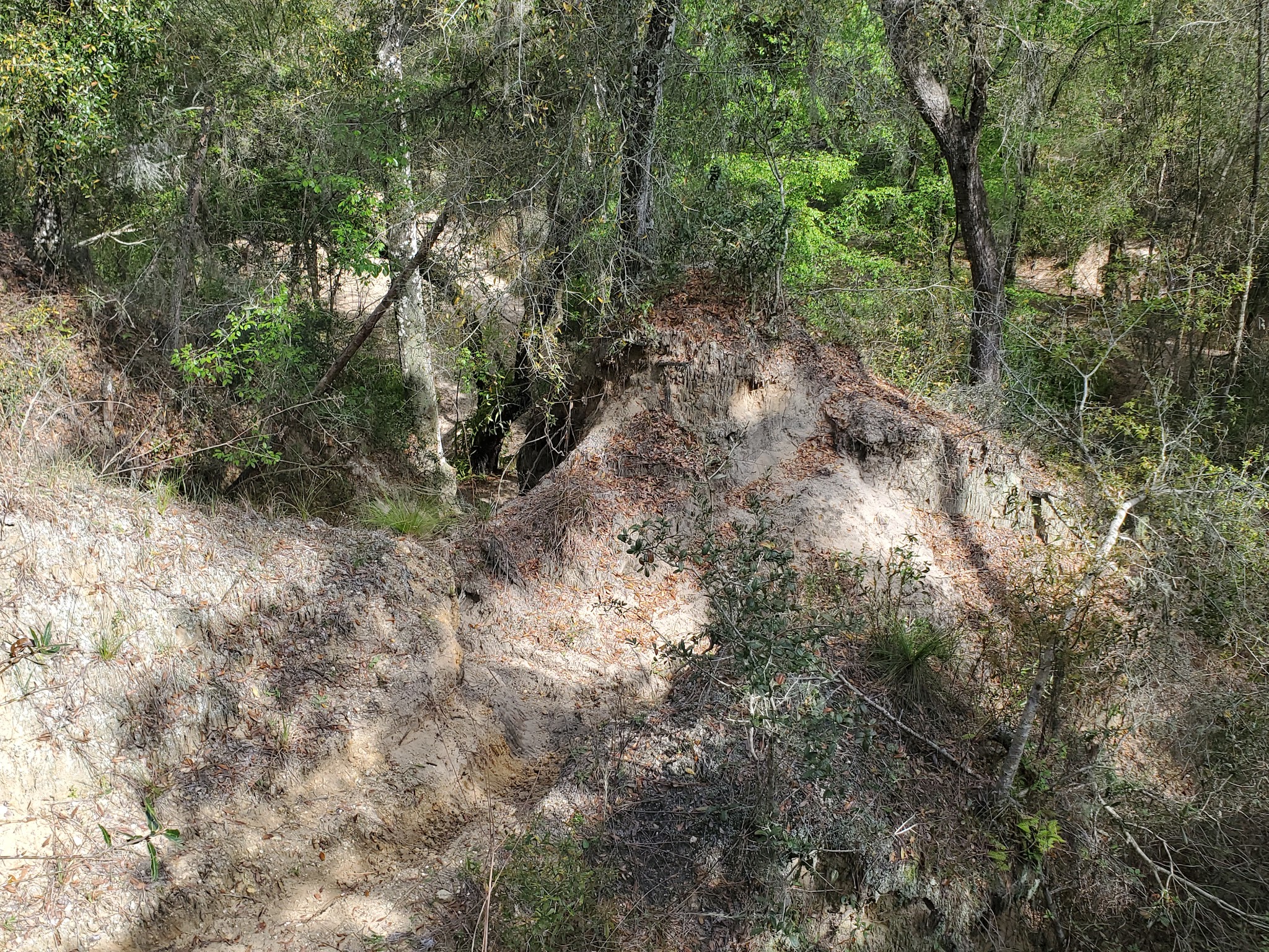 Buttgenbach Campground At Croom Motorcycle Area