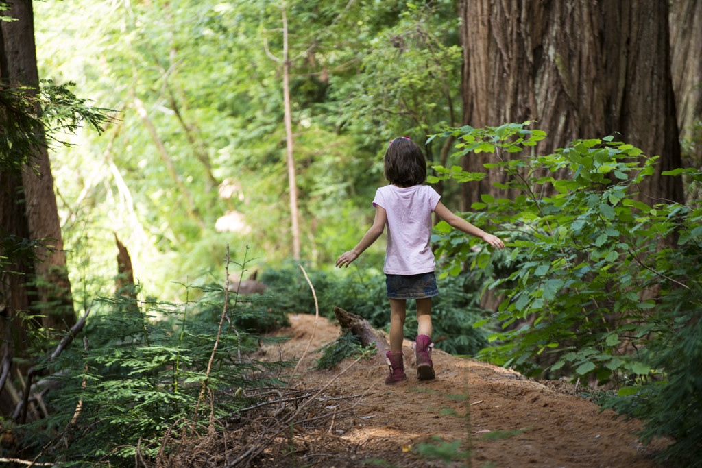 Jedediah Smith Redwoods Campground