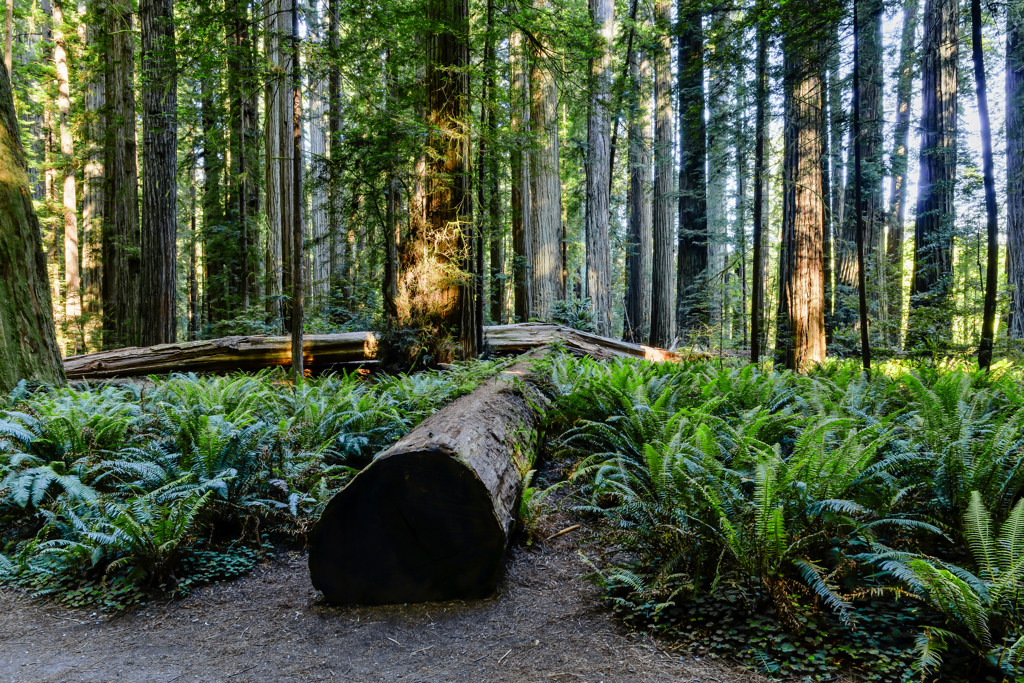 California State Parks
