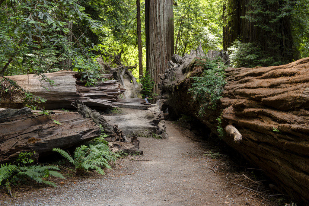 California State Parks