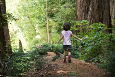 Jedediah Smith Redwoods Campground
