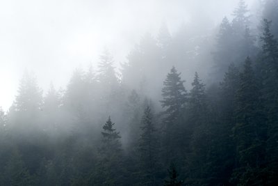 California State Parks