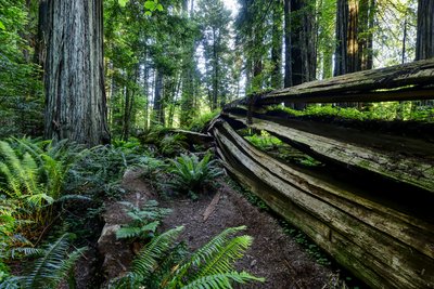 California State Parks