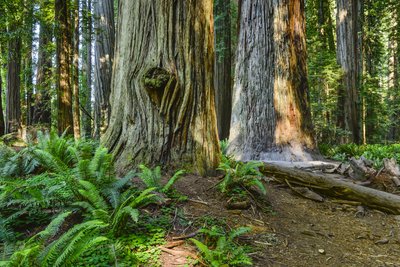 California State Parks