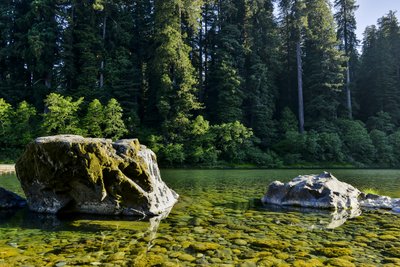 California State Parks