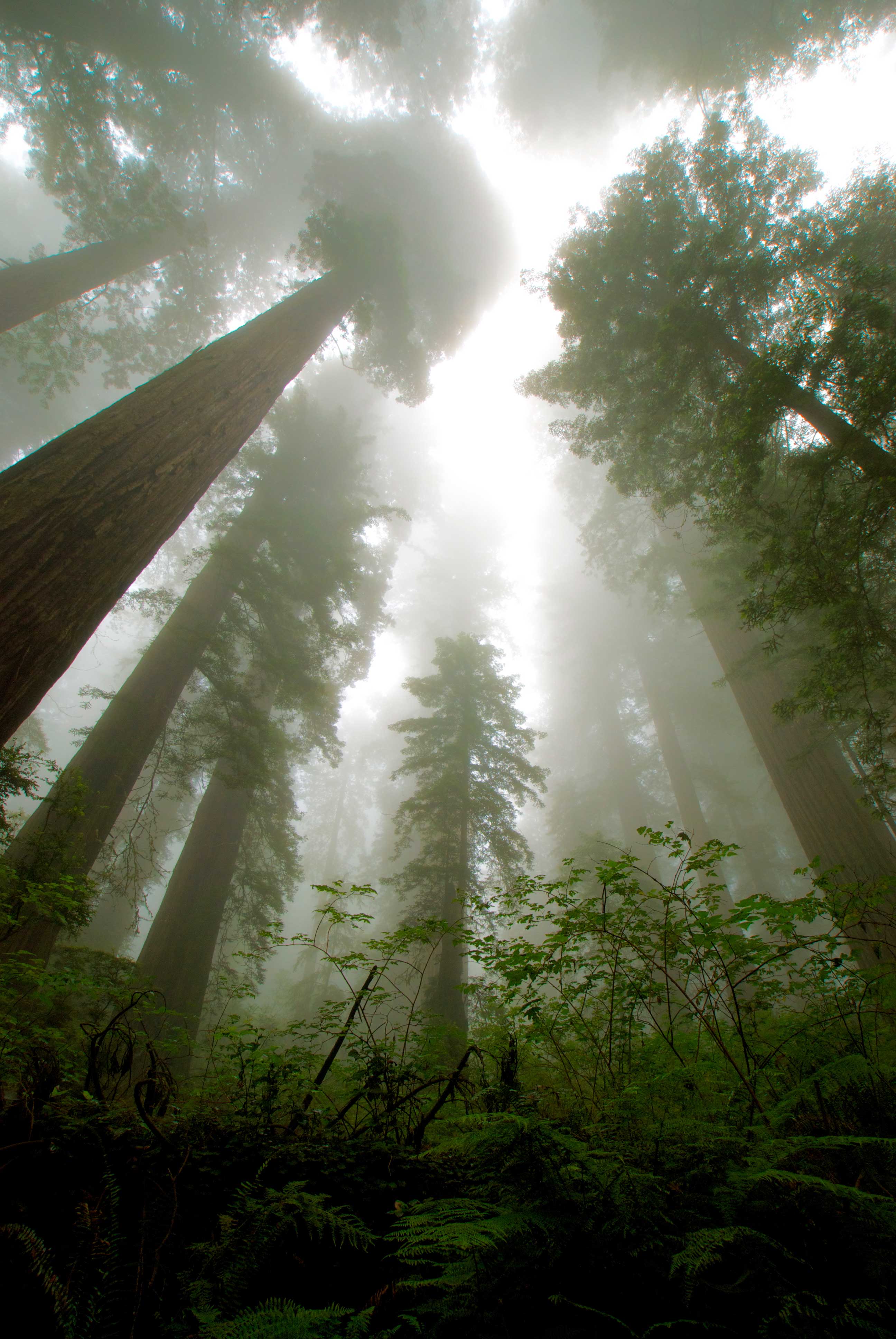 California State Parks