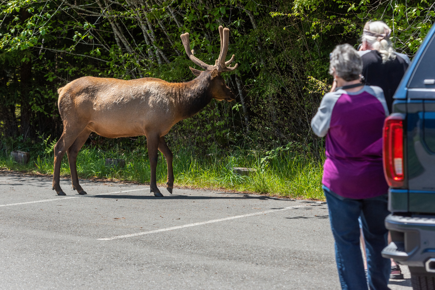 California State Parks