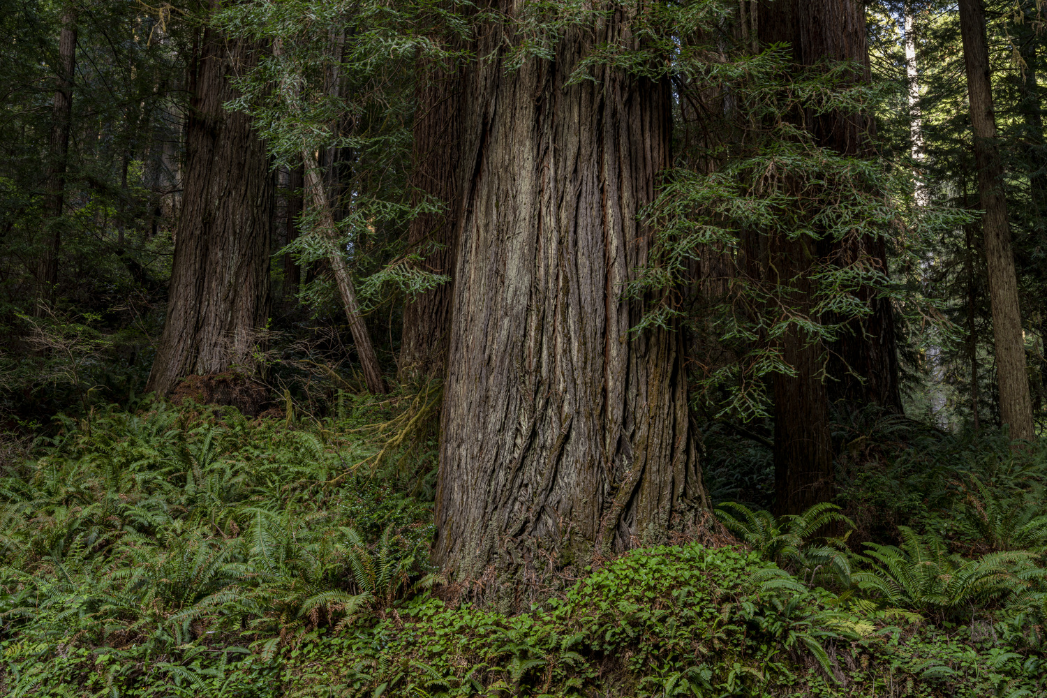 California State Parks