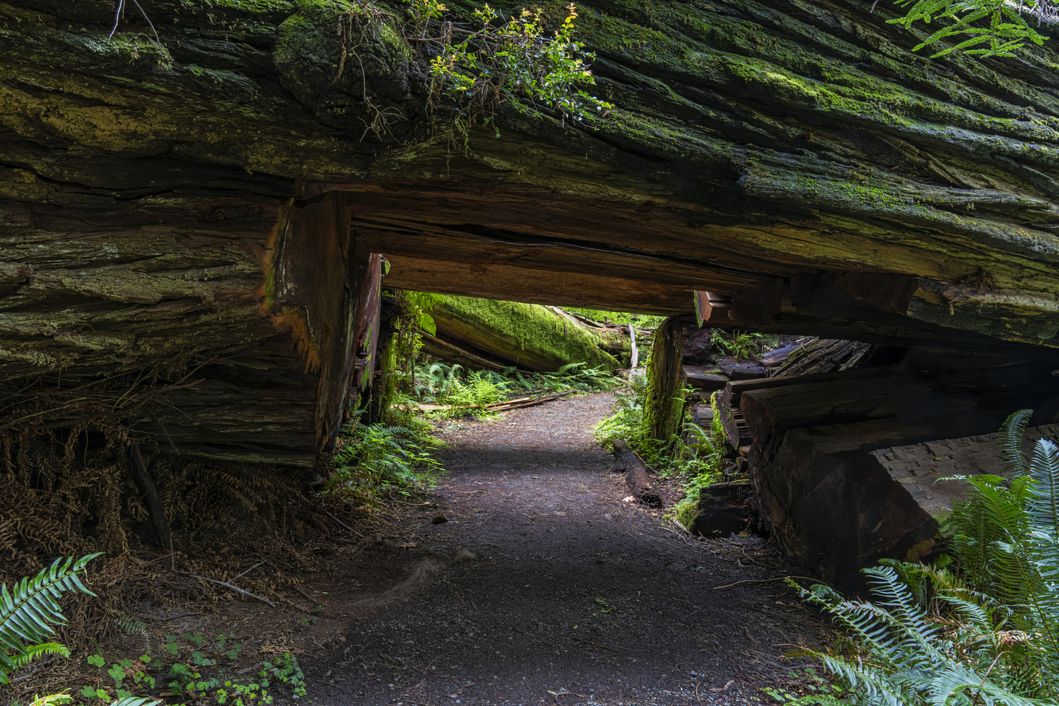California State Parks