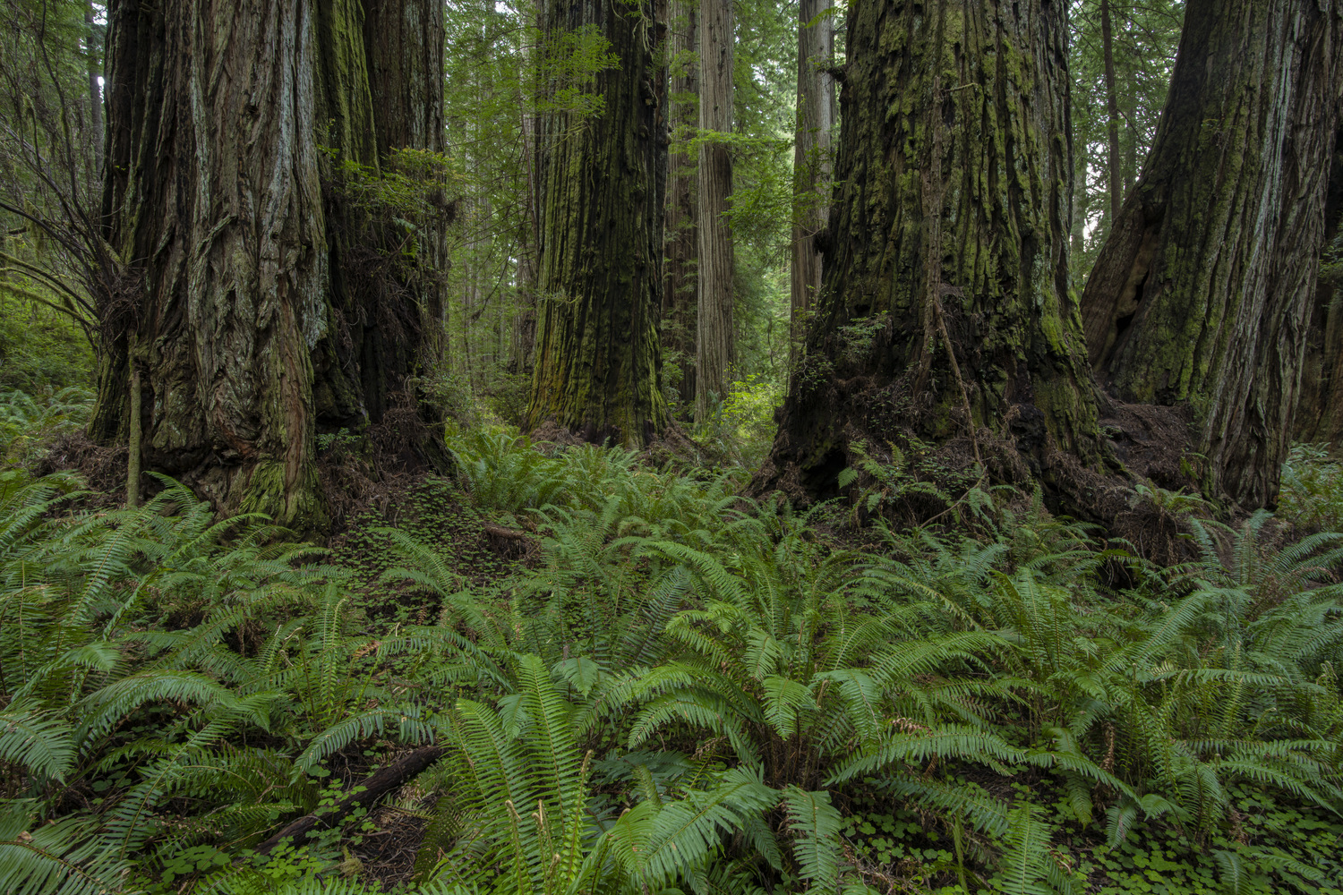 California State Parks