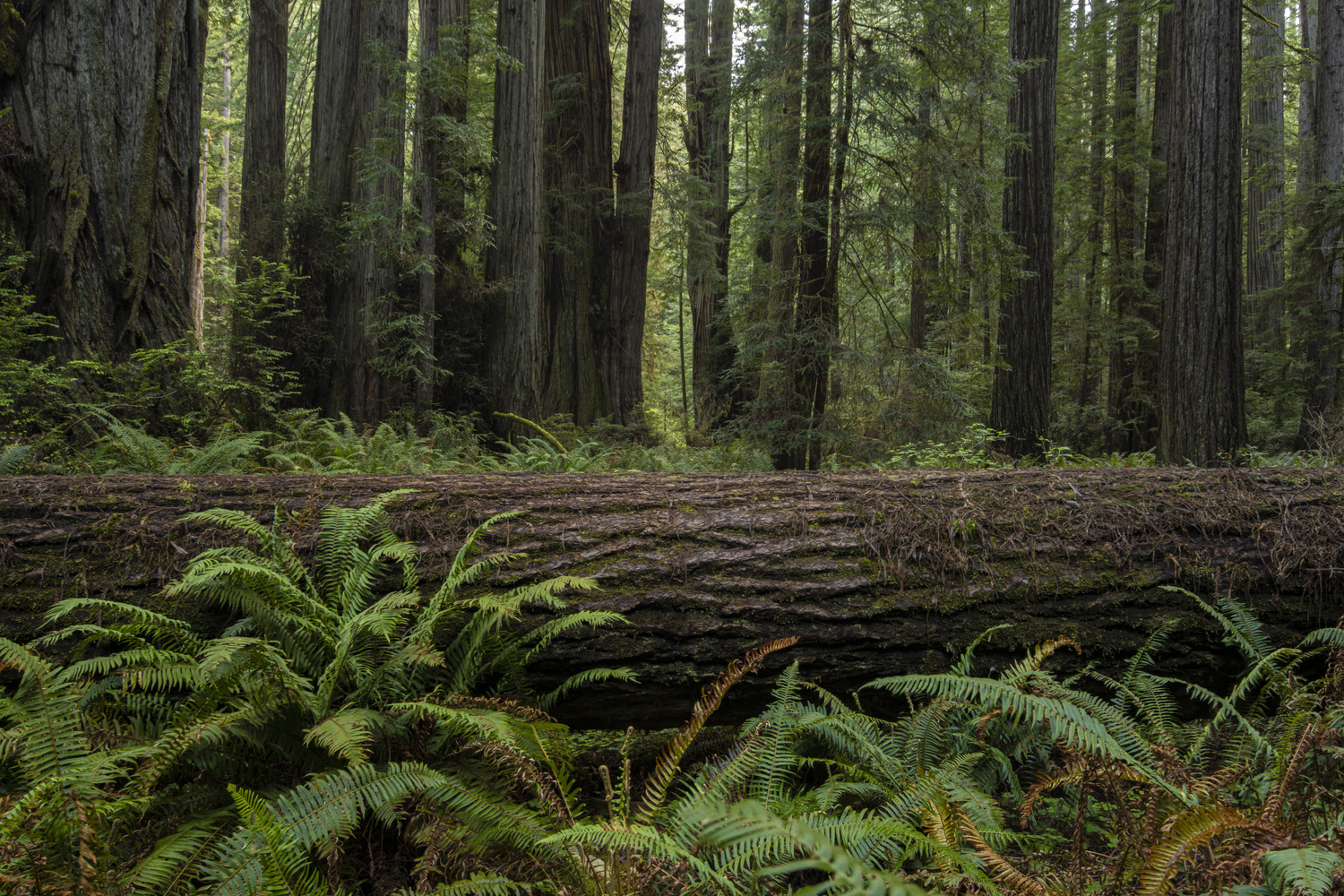 California State Parks