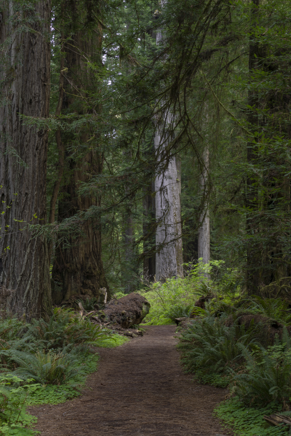 California State Parks